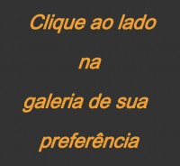/album/galeria-de-fotos/informa%c3%a7%c3%a3o%20para%20galeria%20100-jpg/